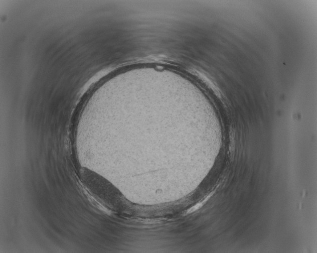 X0000083641308200703121709