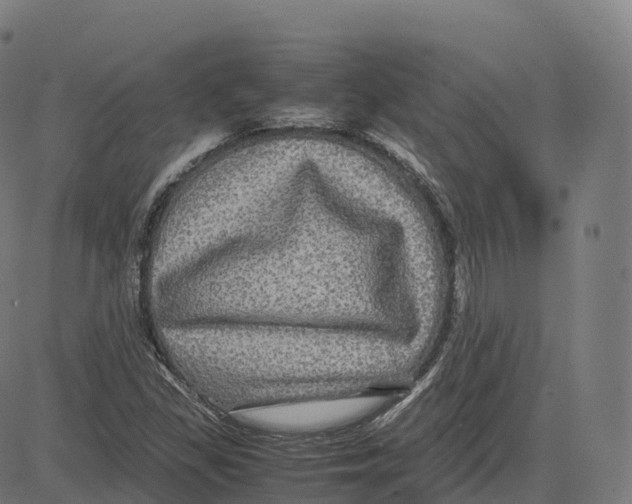 X0000083641309200703121709