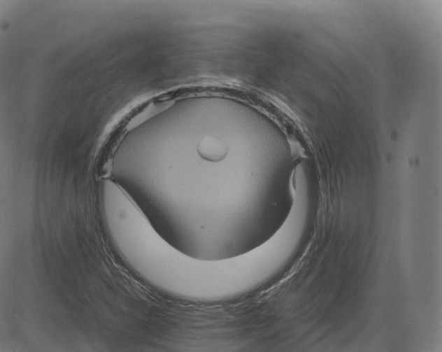 X0000083641310200703121709