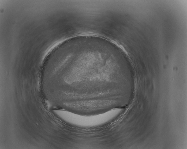 X0000083641311200703121709