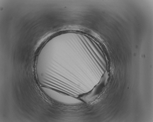 X0000083641312200703121709