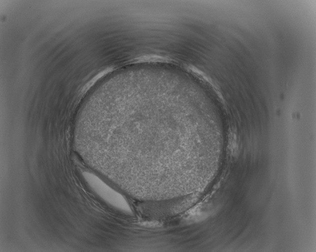 X0000083641313200703121709