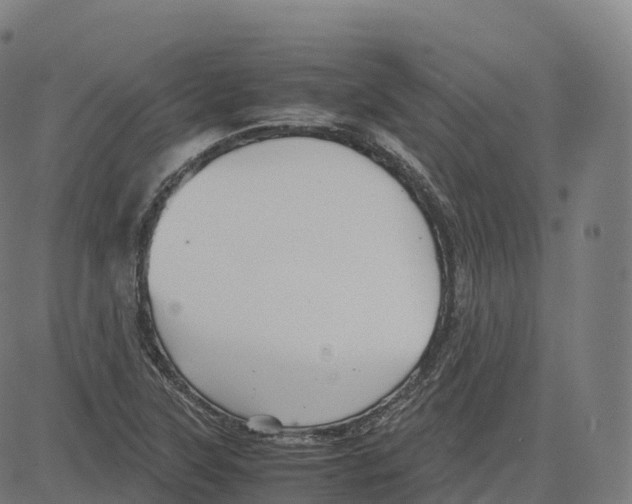 X0000083641315200703121709