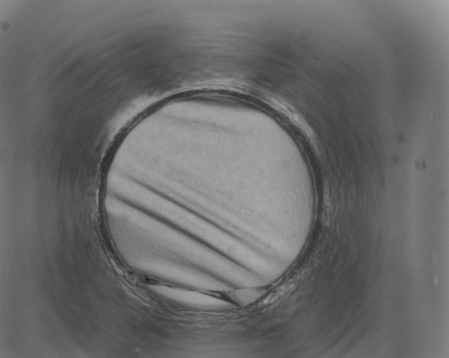 X0000083641316200703121709