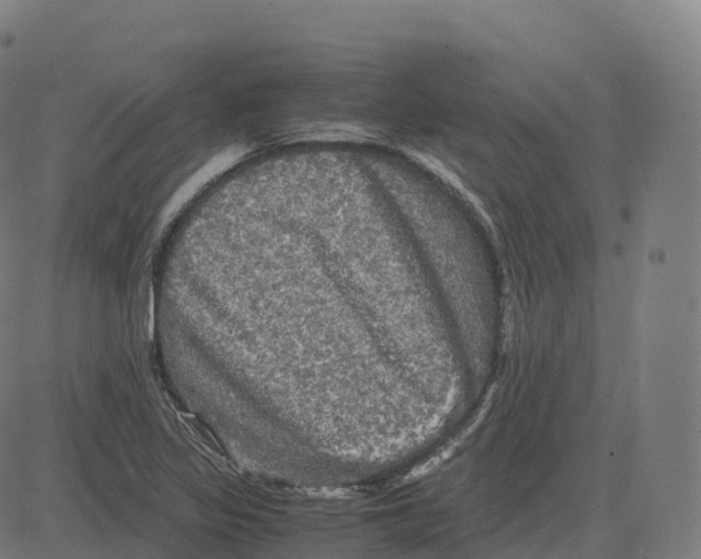 X0000083641317200703121709