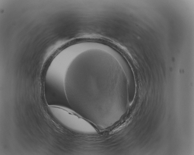 X0000083641319200703121709