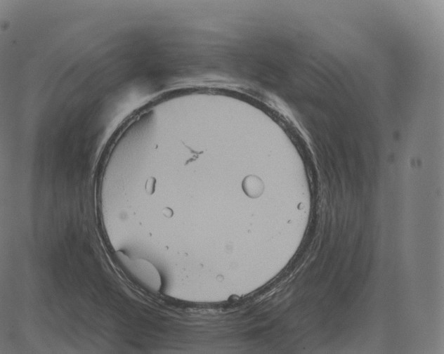 X0000083641320200703121709