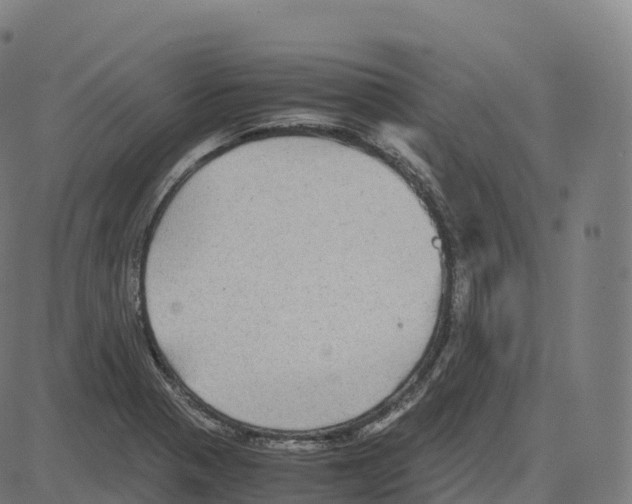 X0000083641321200703121709