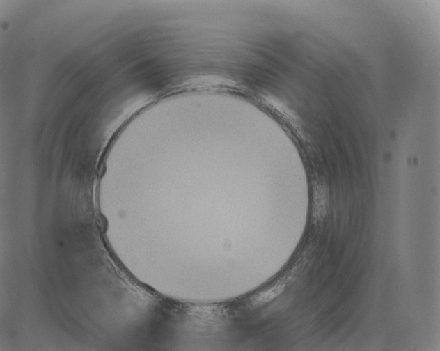 X0000083641322200703121709