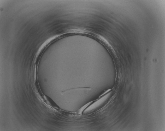 X0000083641323200703121709