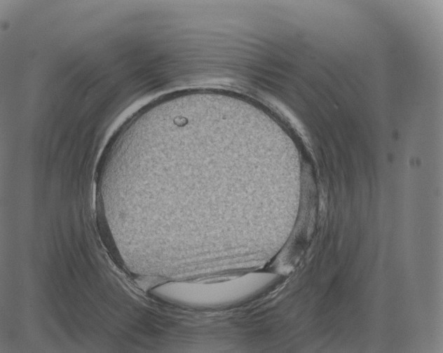 X0000083641324200703121709