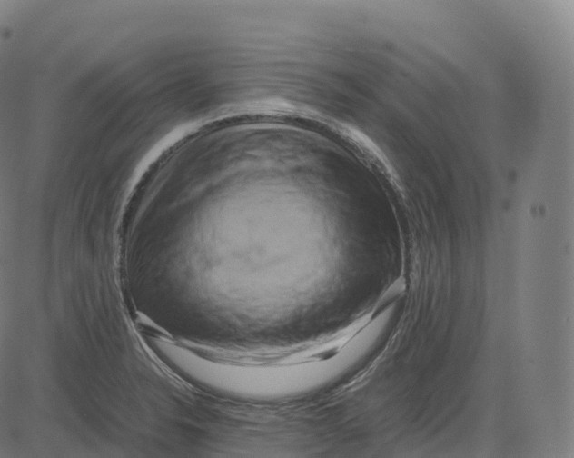 X0000083641326200703121710