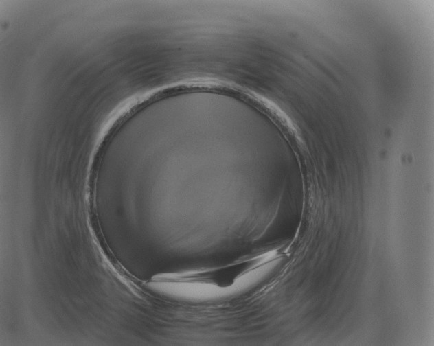 X0000083641327200703121710