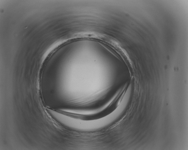 X0000083641328200703121710