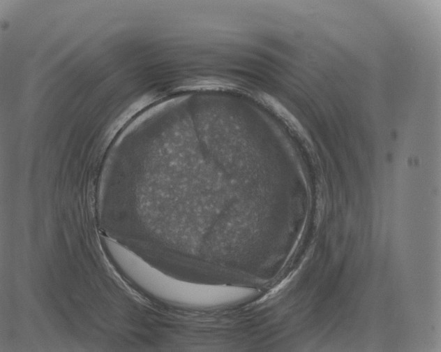 X0000083641329200703121710