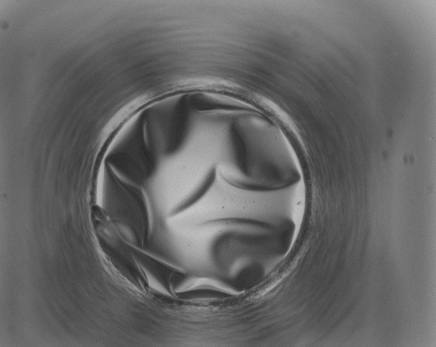 X0000083641330200703121710