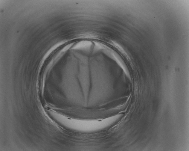 X0000083641331200703121710