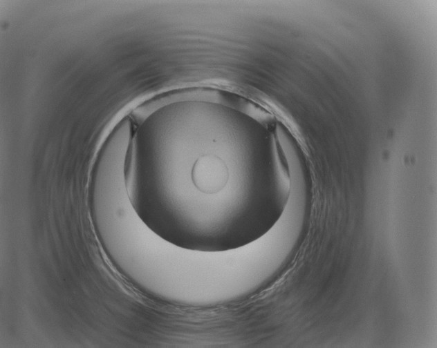 X0000083641332200703121710