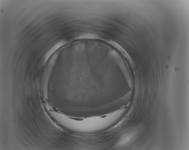 X0000083641337200703121710