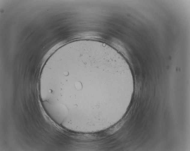 X0000083641338200703121710