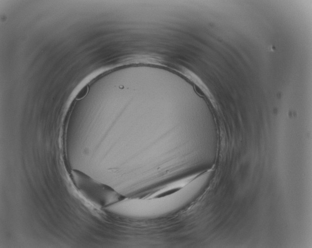 X0000083641339200703121710