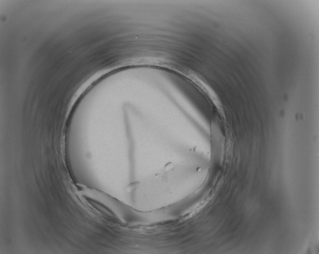 X0000083641340200703121710