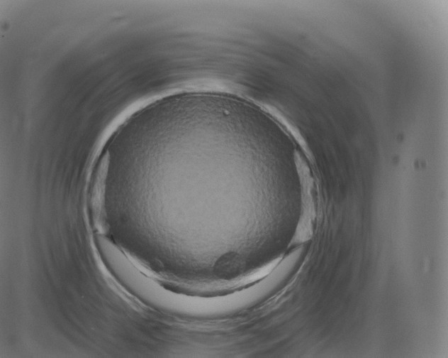 X0000083641342200703121710