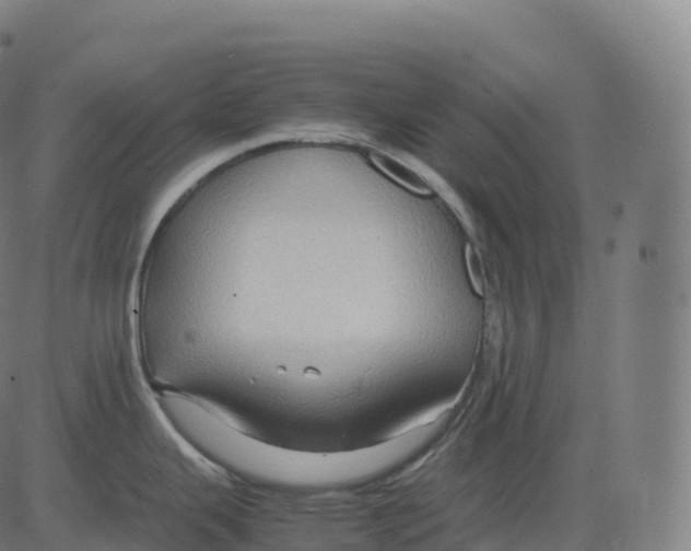 X0000083641343200703121710