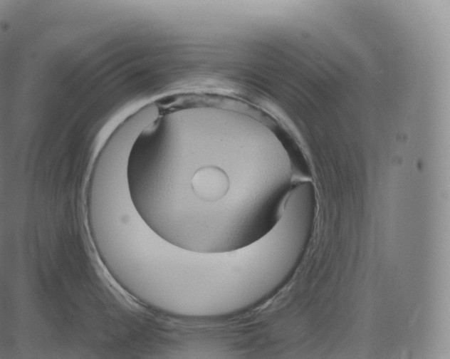 X0000083641344200703121710