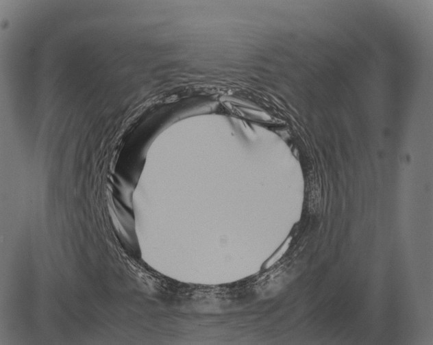 X0000083641345200703121709