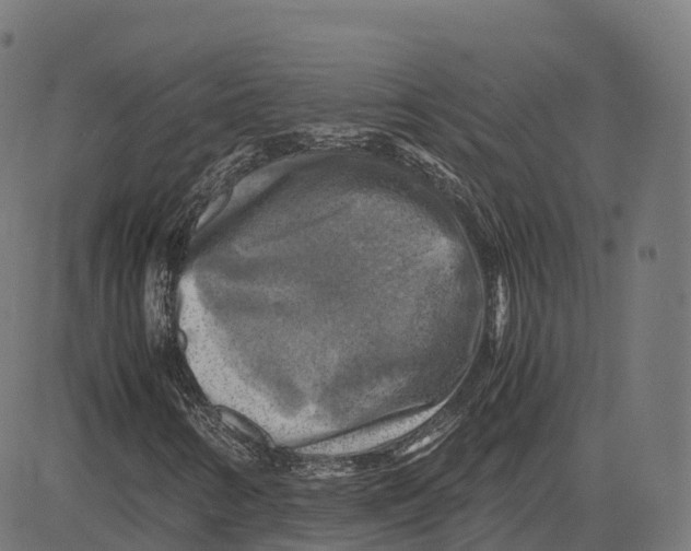 X0000083641346200703121709