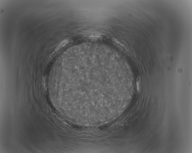 X0000083641347200703121709