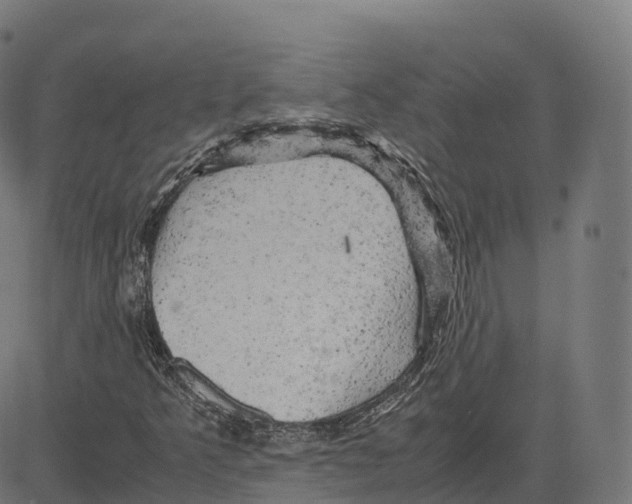 X0000083641349200703121709