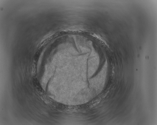 X0000083641350200703121709