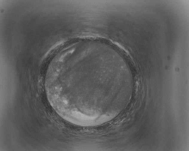 X0000083641351200703121709