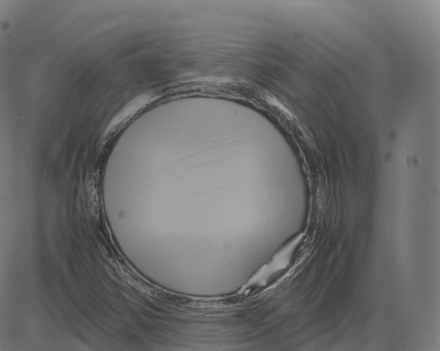 X0000083641354200703121709