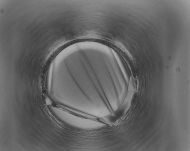 X0000083641356200703121709