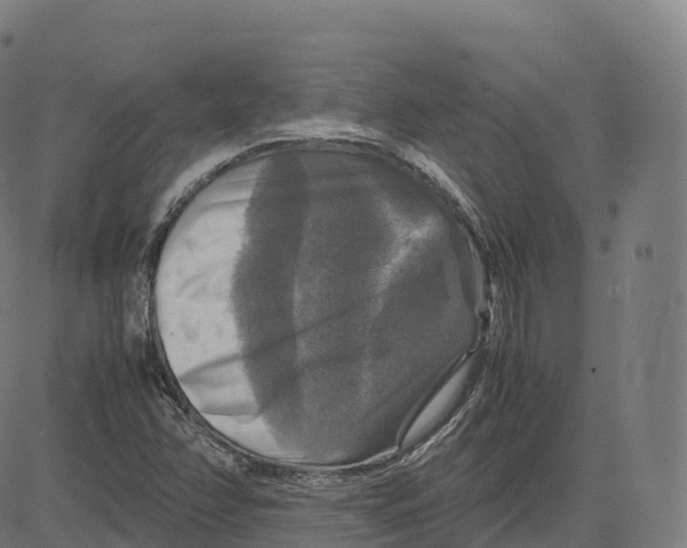 X0000083641358200703121709