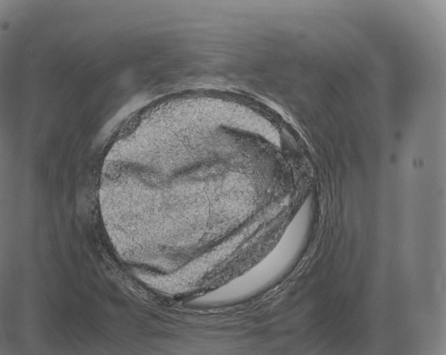 X0000083641359200703121709