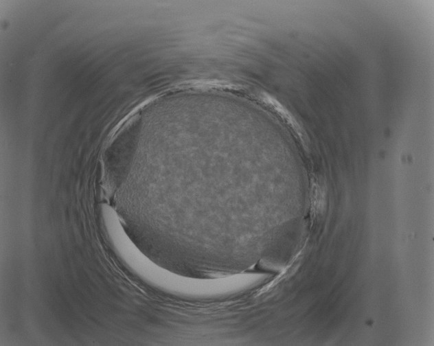 X0000083641361200703121709