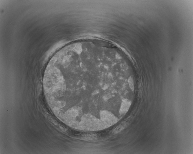 X0000083641363200703121709