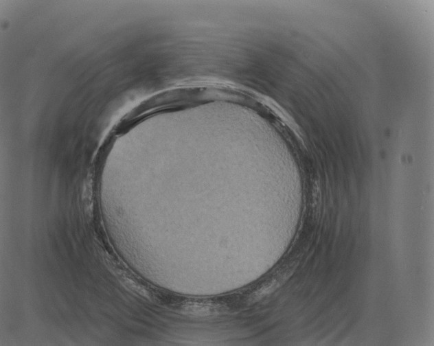 X0000083641364200703121709