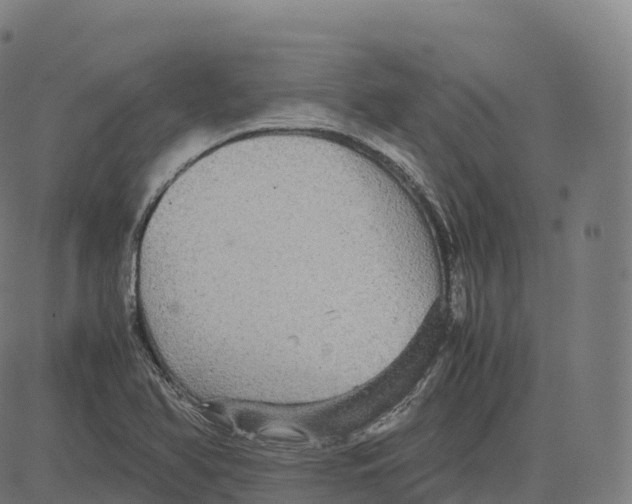 X0000083641366200703121709