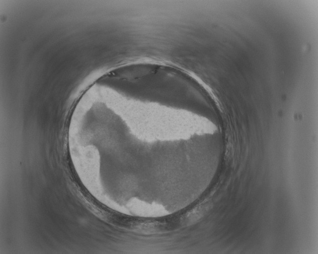 X0000083641367200703121709