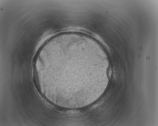 X0000083641368200703121709