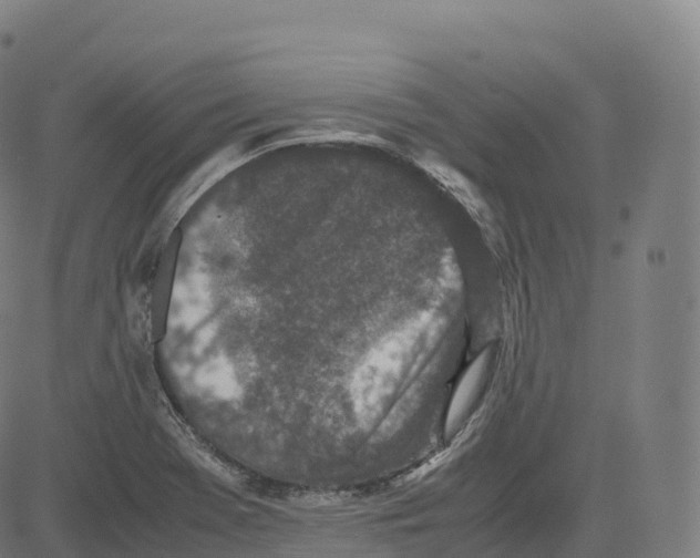 X0000083641369200703121709