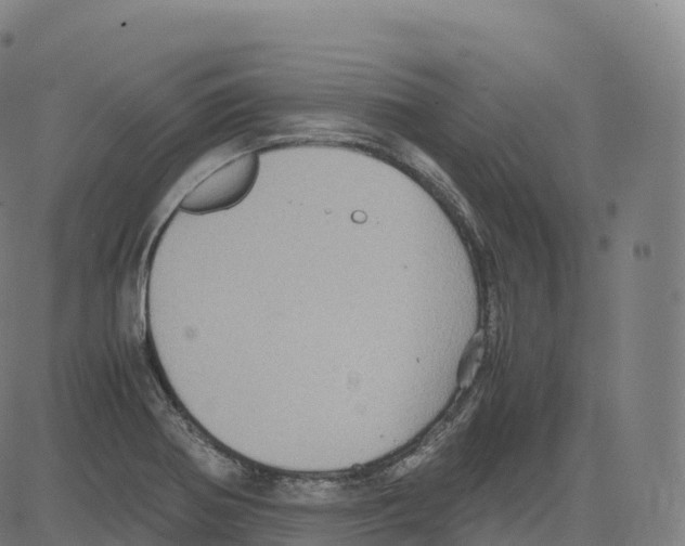 X0000083641370200703121709