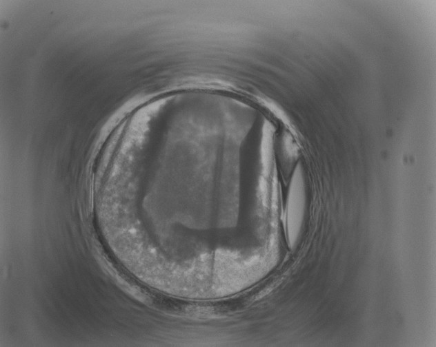 X0000083641371200703121709