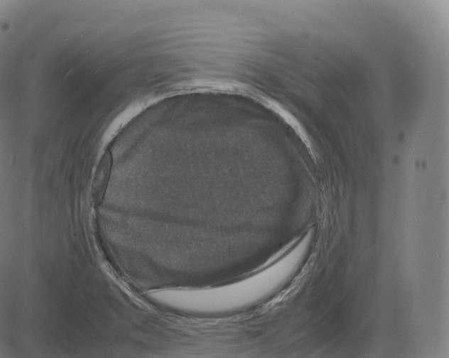 X0000083641373200703121709