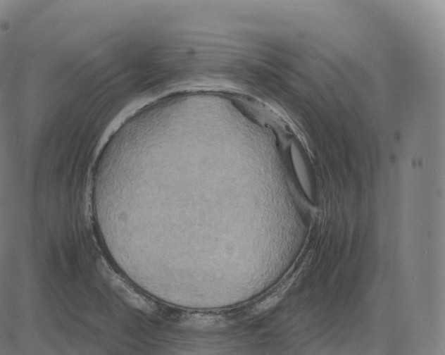 X0000083641374200703121709